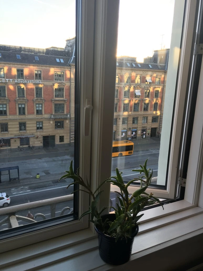 IMG_3889.JPG?type=w773