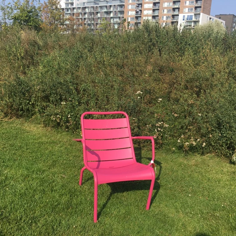 IMG_4866.JPG?type=w773