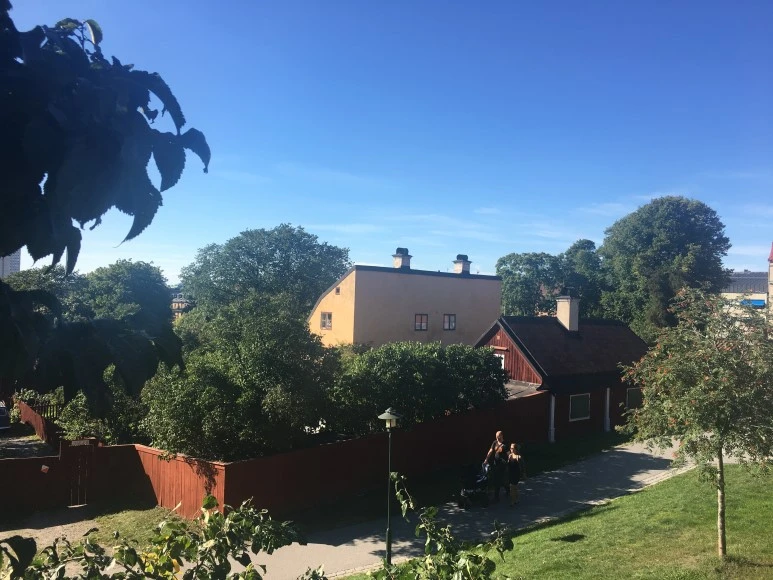 IMG_3677.JPG?type=w773