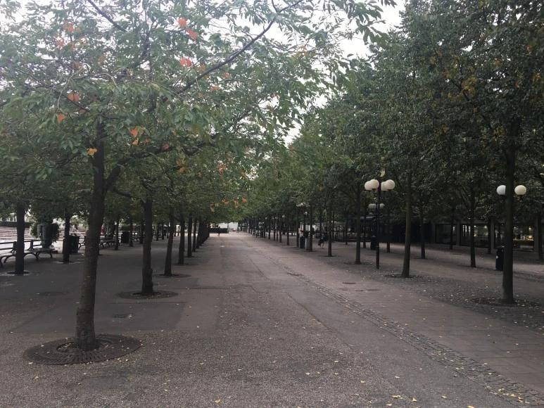 IMG_3188.JPG?type=w773