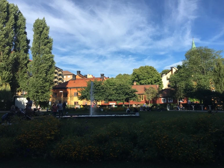 IMG_3012.JPG?type=w773