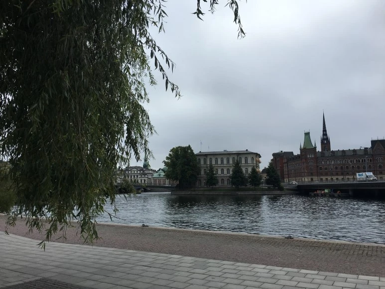 IMG_3424.JPG?type=w773