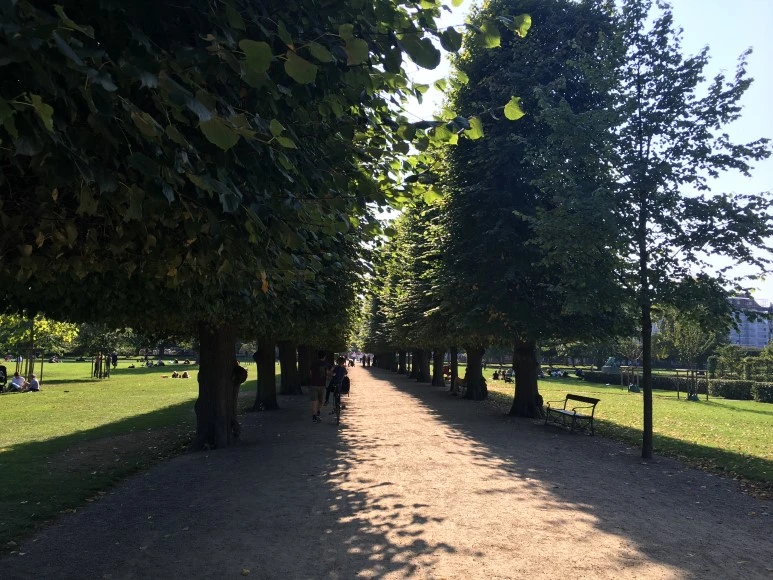 IMG_4704.JPG?type=w773