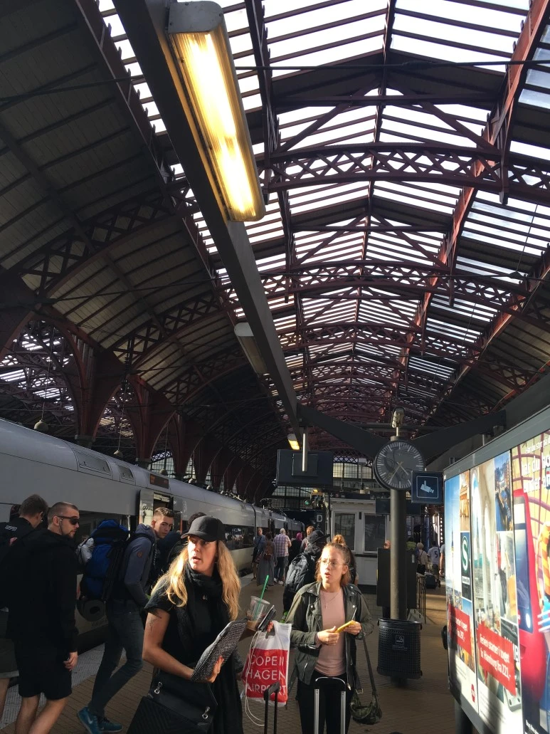 IMG_3803.JPG?type=w773