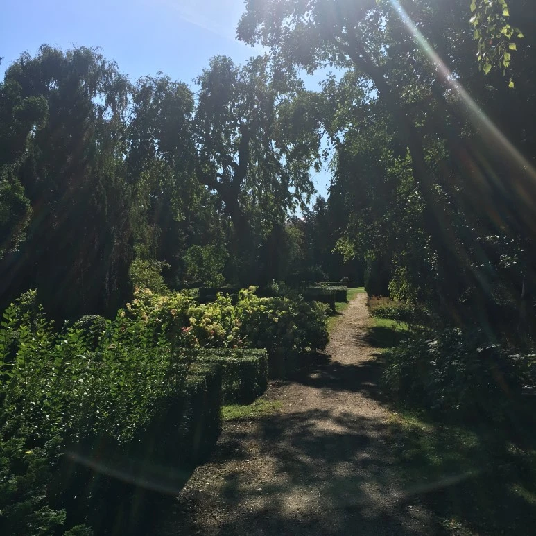 IMG_4067_%281%29.JPG?type=w773