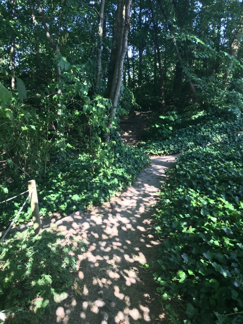 IMG_4422.JPG?type=w773