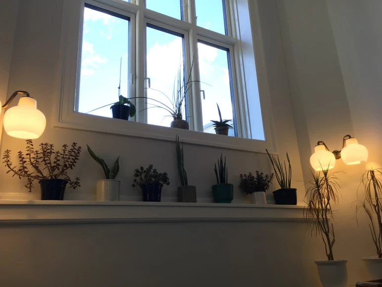 IMG_3836.JPG?type=w773