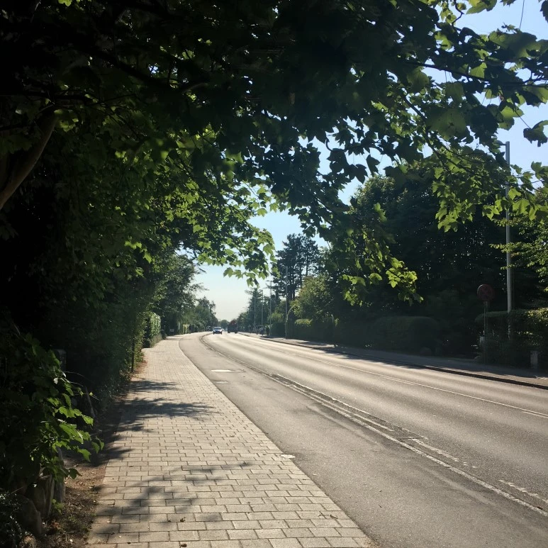 IMG_4472.JPG?type=w773