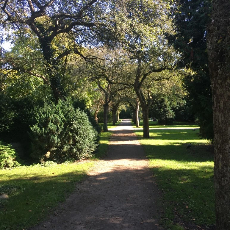 IMG_4077_%281%29.JPG?type=w773