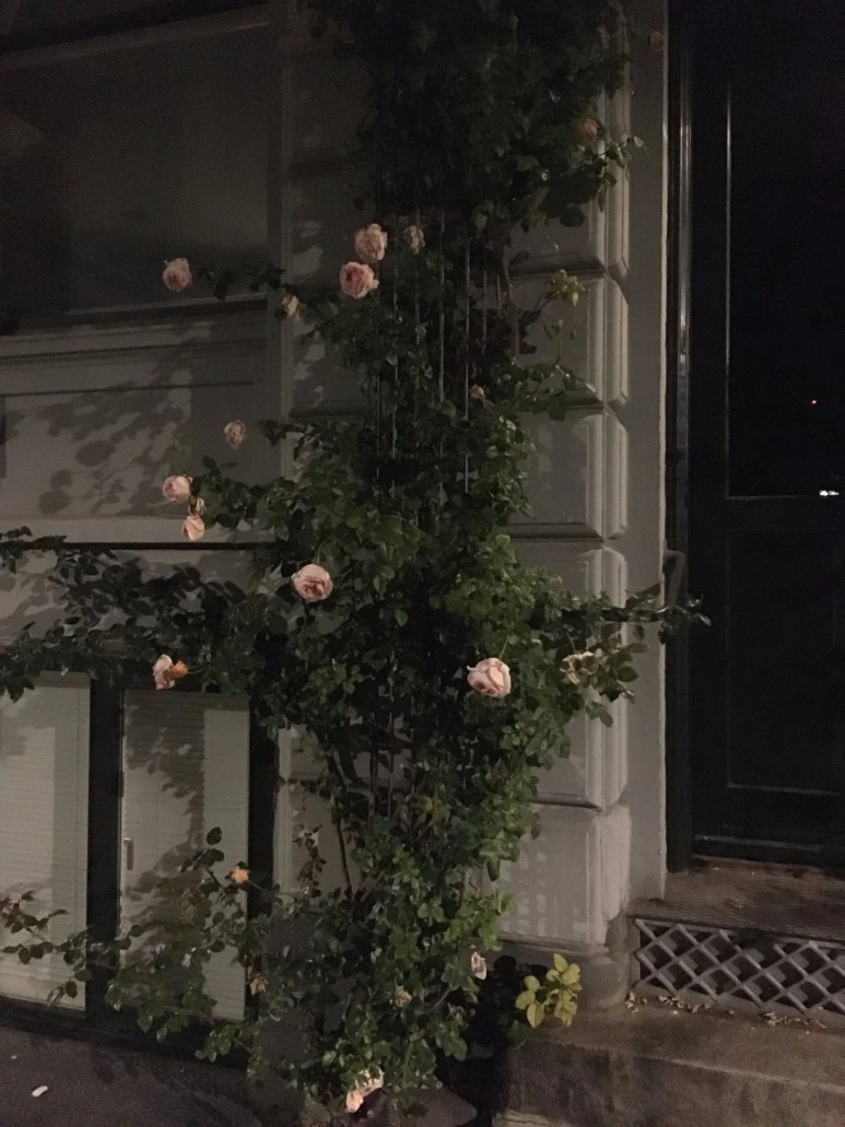 image_6199360451488207874122.jpg?type=w773