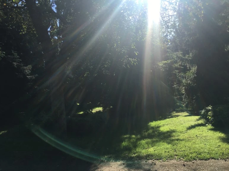 IMG_4075_%281%29.JPG?type=w773