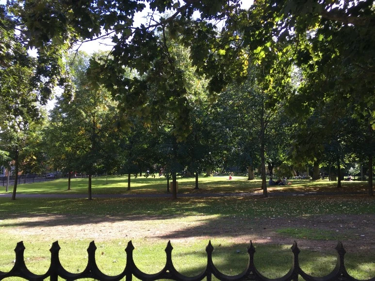 IMG_3088.JPG?type=w773