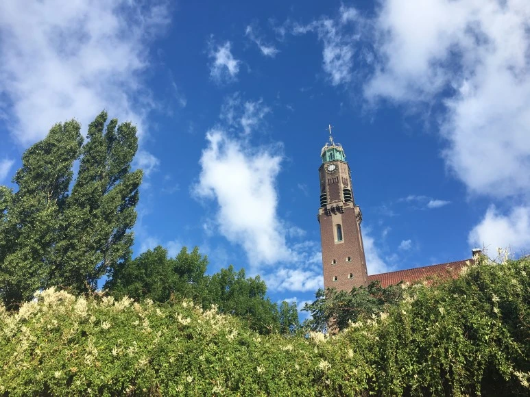 IMG_3061.JPG?type=w773