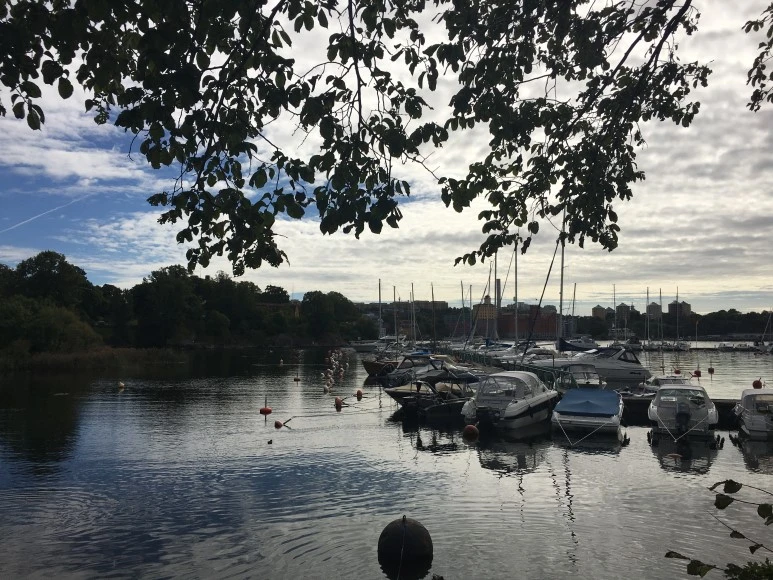 IMG_3215.JPG?type=w773