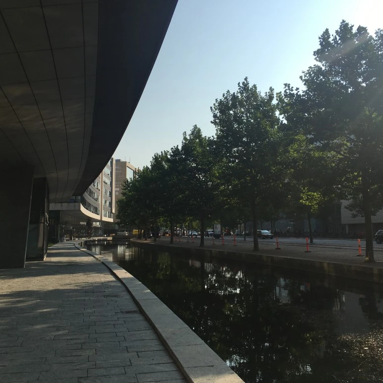 IMG_4836.JPG?type=w773