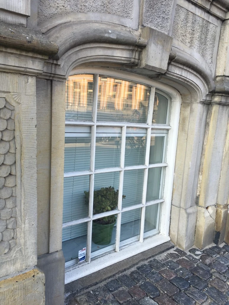 IMG_4915.JPG?type=w773