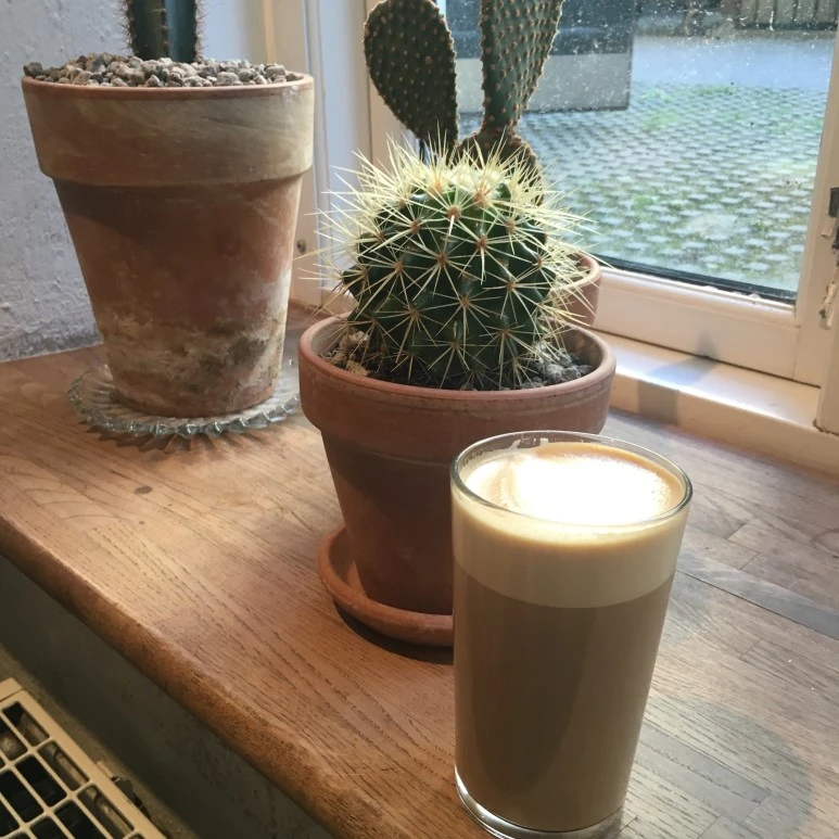 IMG_4086_%281%29.JPG?type=w773