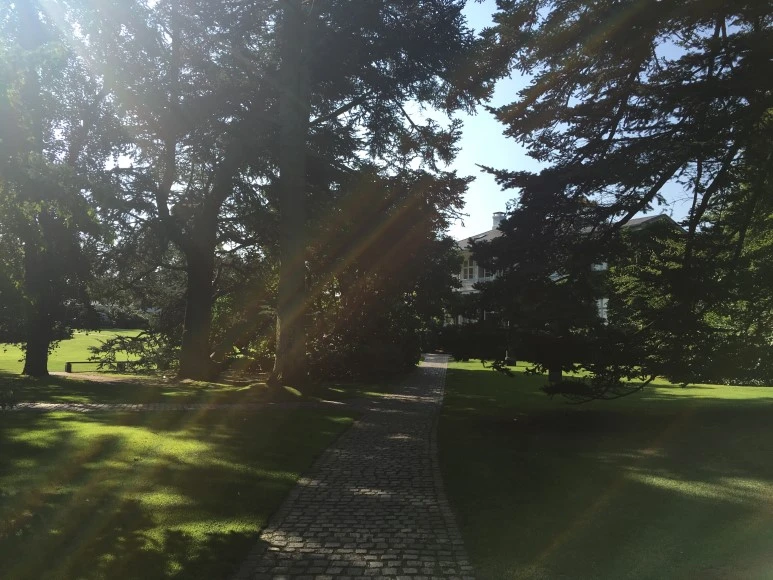 IMG_4308.JPG?type=w773