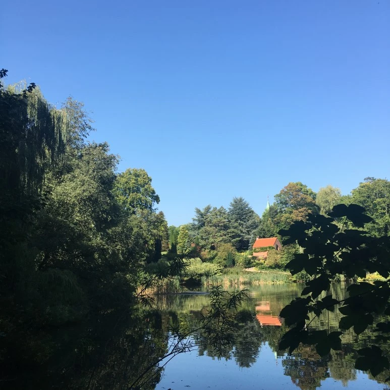 IMG_4415.JPG?type=w773