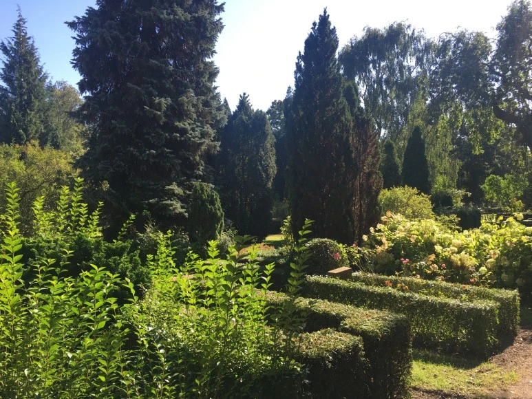 IMG_4068_%281%29.JPG?type=w773