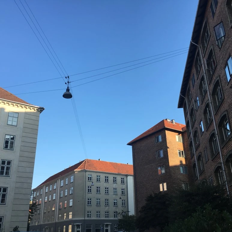 IMG_4627.JPG?type=w773