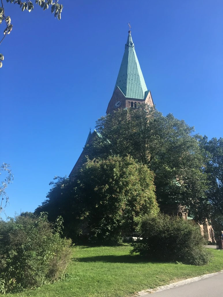 IMG_3673.JPG?type=w773