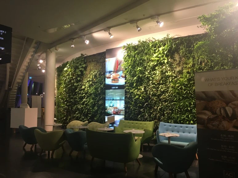 IMG_5028.JPG?type=w773