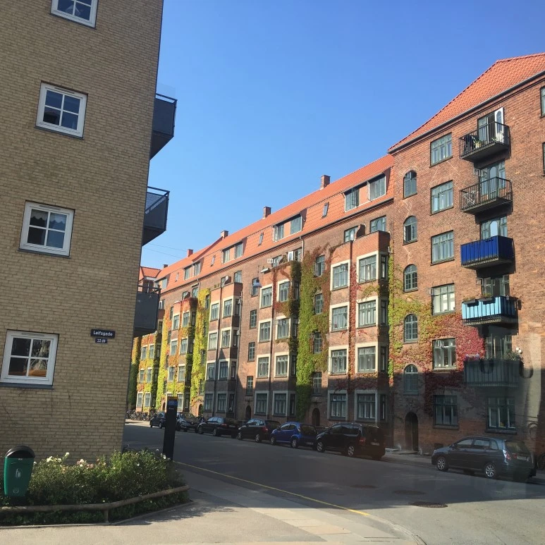 IMG_4905.JPG?type=w773