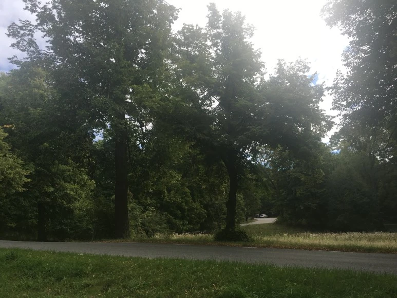 IMG_3221.JPG?type=w773