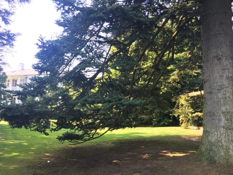 IMG_4312.JPG?type=w773