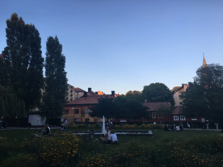 IMG_3742.JPG?type=w773