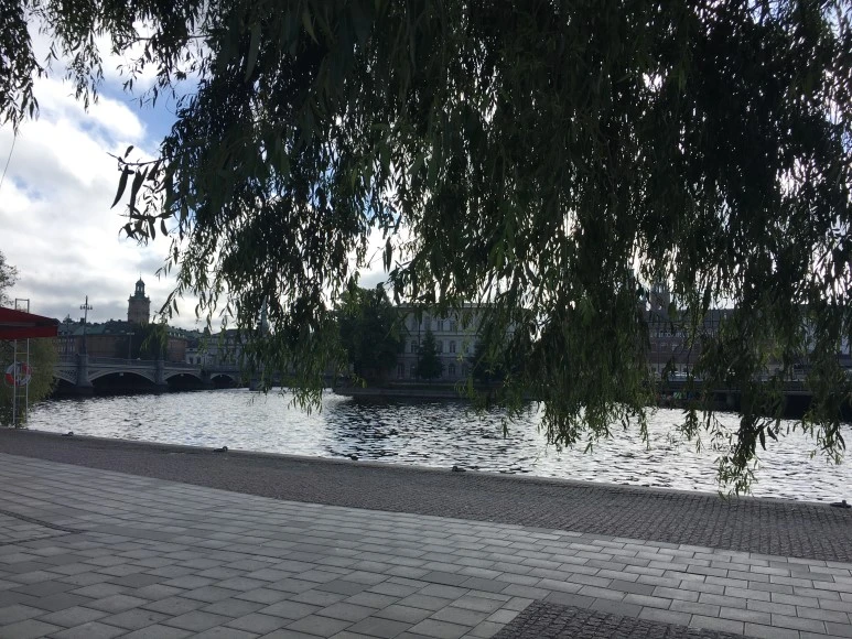 IMG_3481.JPG?type=w773