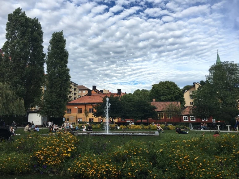 IMG_3016.JPG?type=w773