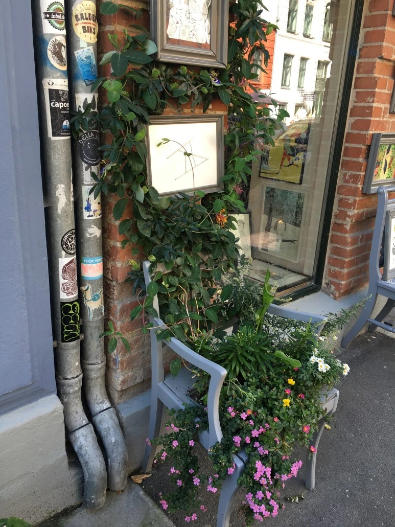 IMG_4019_%281%29.JPG?type=w773