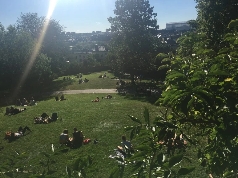 IMG_3678.JPG?type=w773