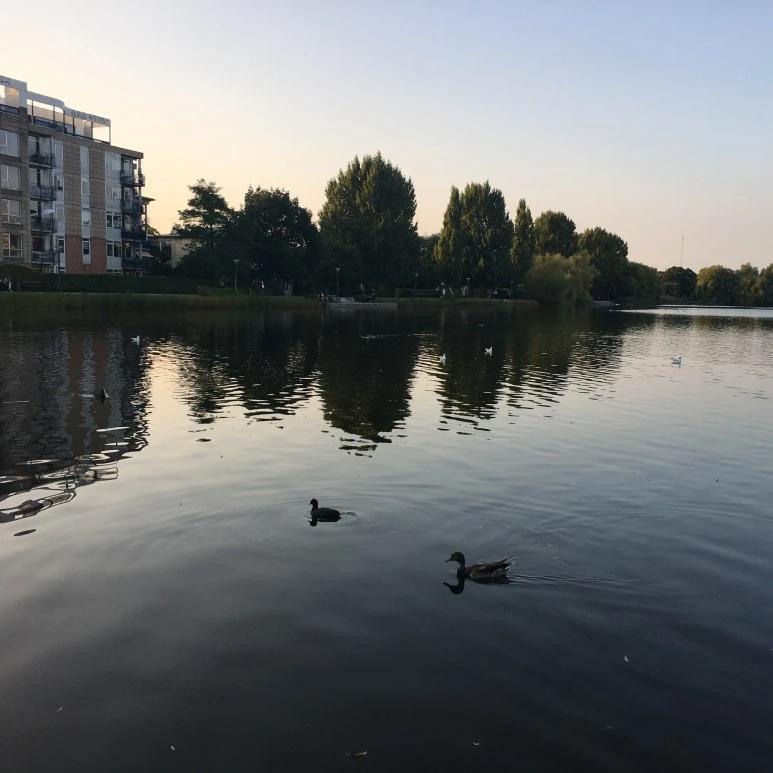 IMG_0209.JPG?type=w773