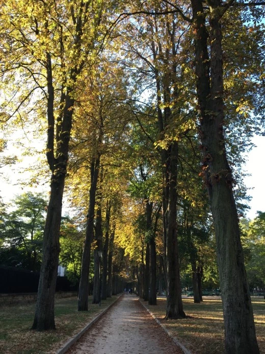 e_ca6Ud018svc1sxbxhlz9pdnj_d27yuw.jpg?type=w520