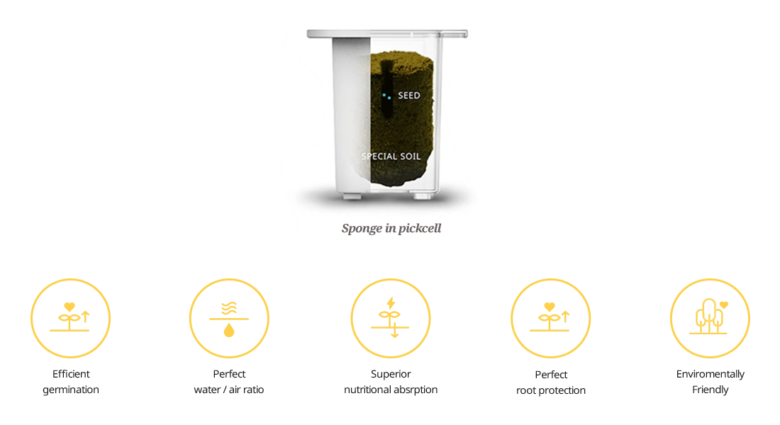 special_soil.png?resize=1100%2C600&ssl=1