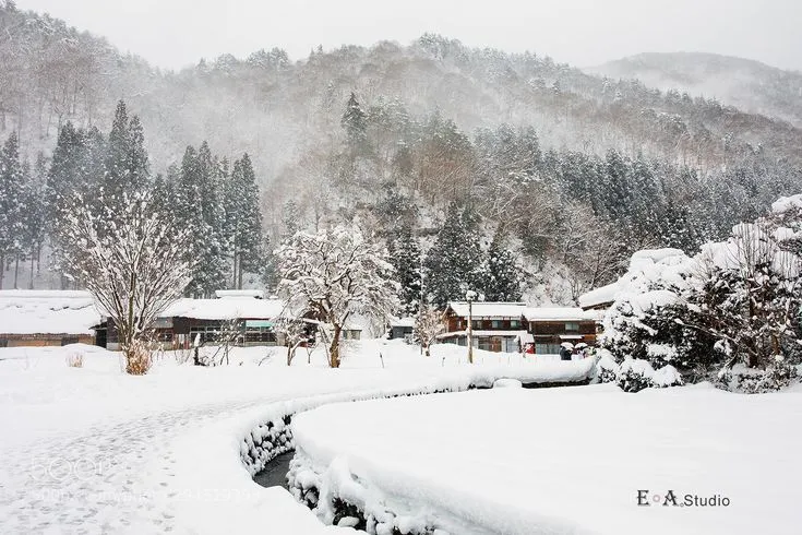 #landscape #photgraphy #love #passion #eye #photo #nature #beautiful #Sky #Earth #tree.jfif