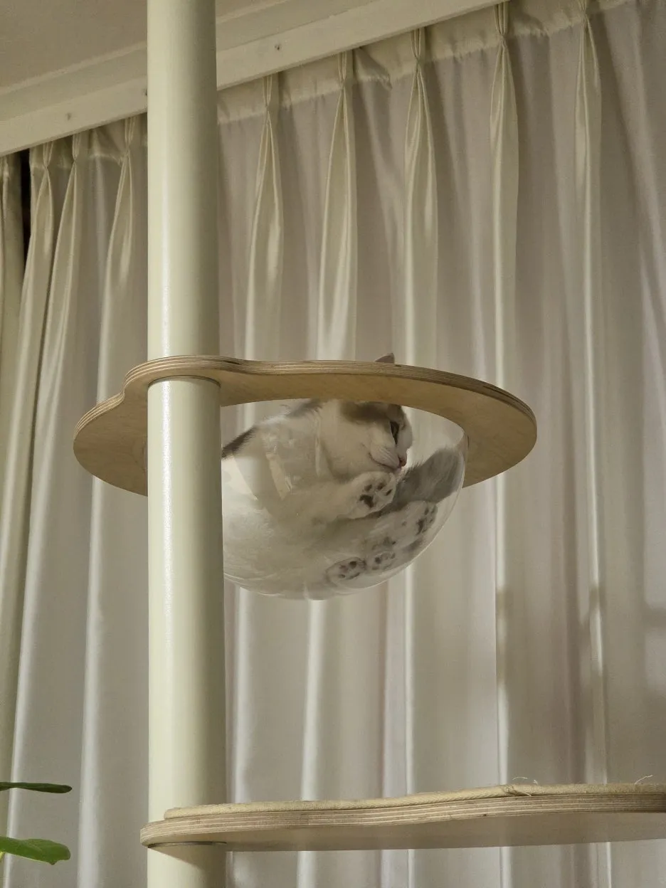 KakaoTalk_20250324_162100921_15.jpg?type=w1