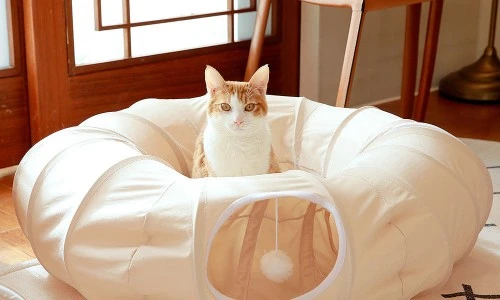 ?src=%22https%3A%2F%2Fshop-phinf.pstatic.net%2F20240216_283%2F17080597200300OQVU_JPEG%2F109195553794508049_871861547.jpg%3Ftype%3Do1000%22&type=ff500_300