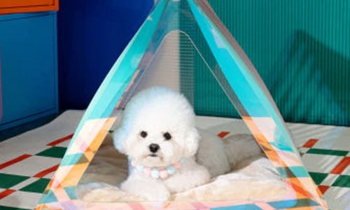 ?src=%22https%3A%2F%2Fshop-phinf.pstatic.net%2F20250310_26%2F1741574475109i7UMQ_JPEG%2F67206109139360464_256134362.jpg%3Ftype%3Do1000%22&type=ff500_300