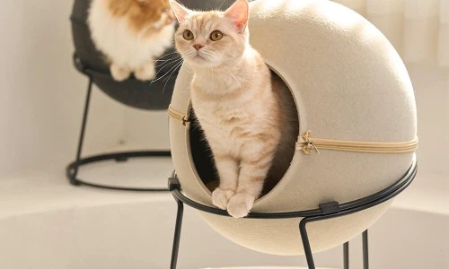 ?src=%22https%3A%2F%2Fshop-phinf.pstatic.net%2F20250212_93%2F173932870397044jts_JPEG%2F53185906804981032_2146909791.jpg%3Ftype%3Do1000%22&type=ff500_300