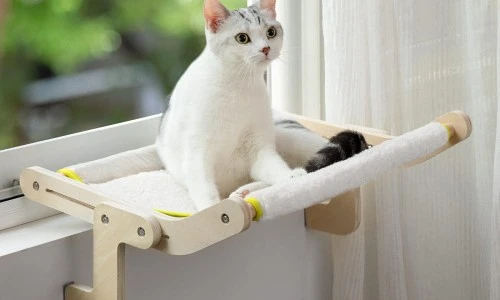 ?src=%22https%3A%2F%2Fshop-phinf.pstatic.net%2F20221110_254%2F1668091183735okveL_PNG%2F69227072386886178_1402951469.png%3Ftype%3Do1000%22&type=ff500_300