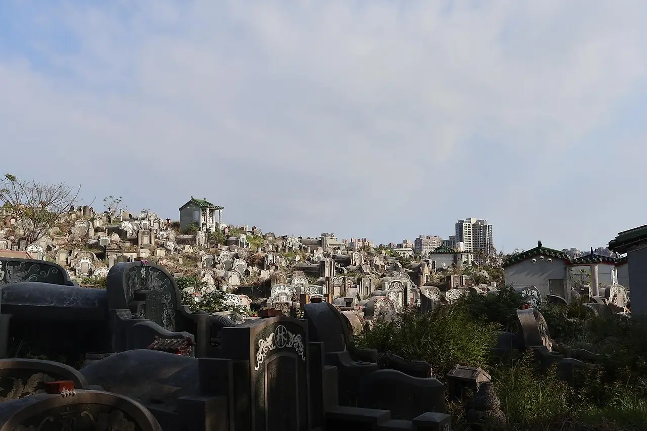 481861755_18504934921032724_7099590592459088597_n.jpg?stp=dst-jpg_e35_tt6&efg=eyJ2ZW5jb2RlX3RhZyI6IkNBUk9VU0VMX0lURU0uaW1hZ2VfdXJsZ2VuLjE0NDB4OTYwLnNkci5mNzU3NjEuZGVmYXVsdF9pbWFnZSJ9&_nc_ht=scontent-ssn1-1.cdninstagram.com&_nc_cat=104&_nc_oc=Q6cZ2QE0zJY58ytvx2T9BoXF_B44nbHmE9bLz7mVkADbU-xvyU_eTjTyD2GLAIgcyZ5qpsc&_nc_ohc=iLyXMGwKzRgQ7kNvwF_kmSh&_nc_gid=0Wzv4_kTbfIB6l8hQVL9iw&edm=APoiHPcBAAAA&ccb=7-5&ig_cache_key=MzU3ODAxNTY2MzA3Mjc3NjYxMg%3D%3D.3-ccb7-5&oh=00_AfTCXk94lvX9YxHUS79MCtJbunonkRk1ss1YUdy0dpY5yQ&oe=6878575A&_nc_sid=22de04