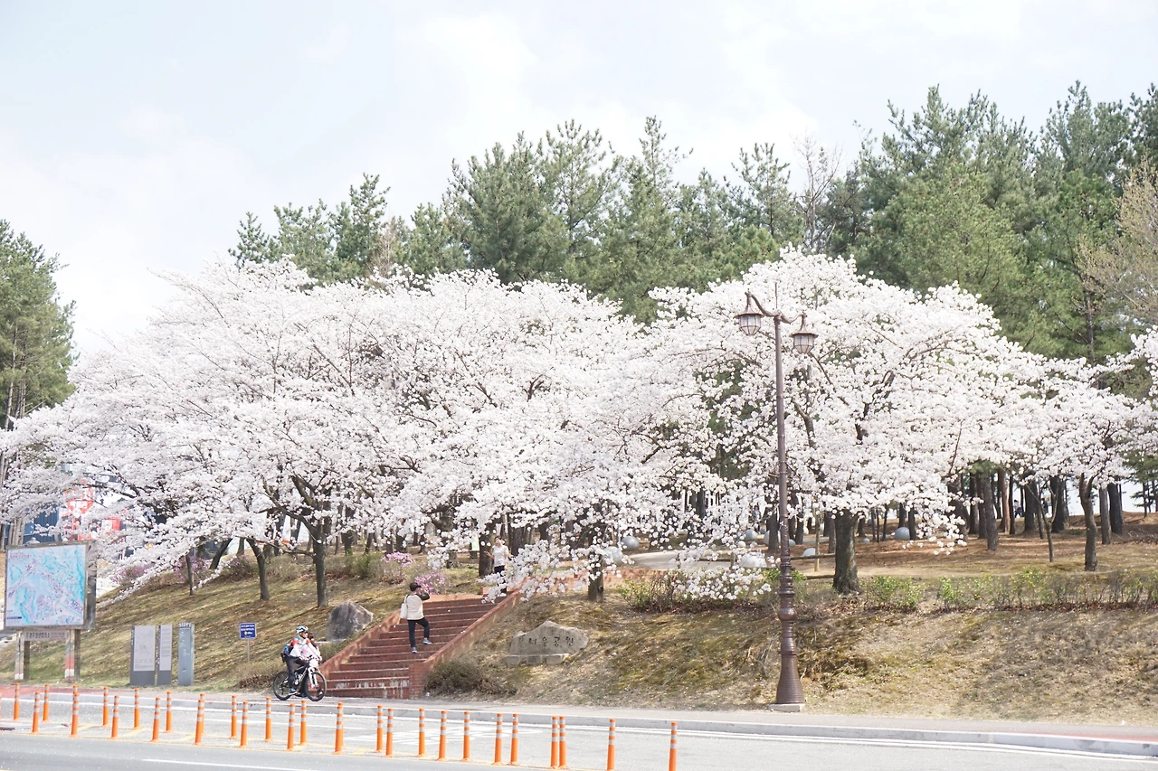 울산누리 블로그기자단 워크숍 (85).JPG