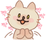 original_15.png?type=p50_50