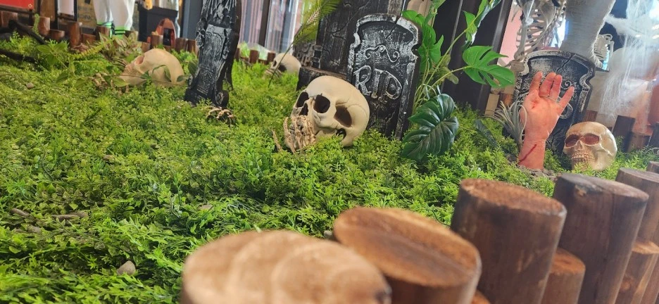 ZXZX_(2).jpg?type=w1