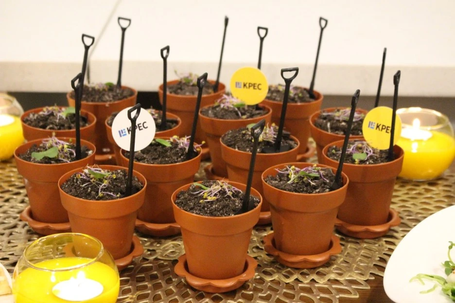 yyyyyy_(2).jpg?type=w1