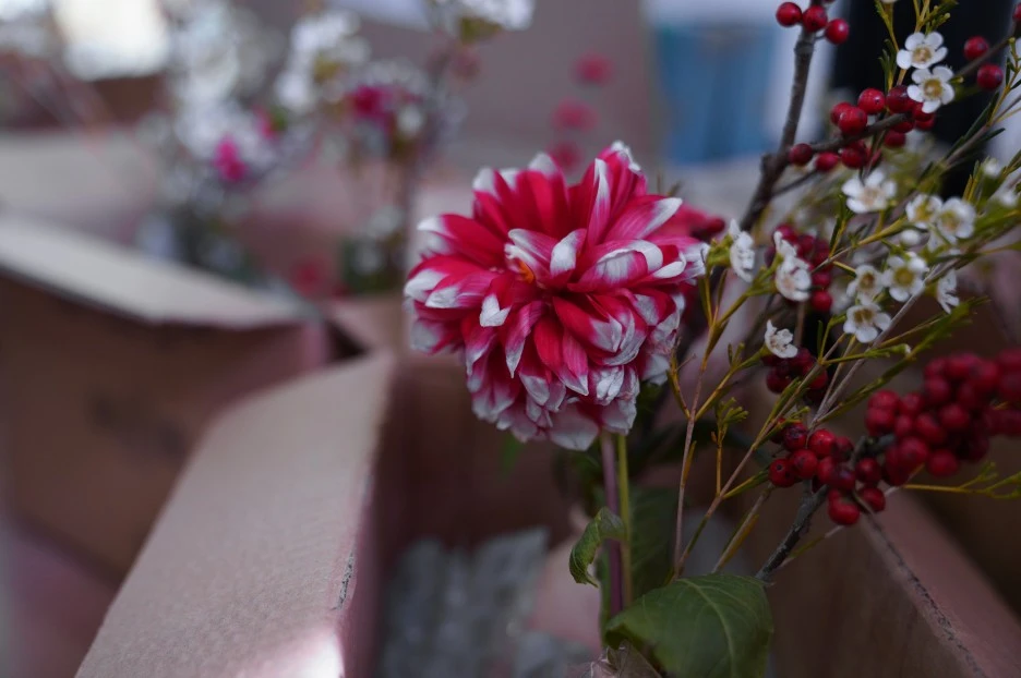 VIP%ED%8C%8C%ED%8B%B0_(7).jpg?type=w1